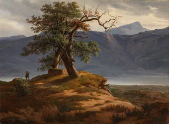 Landskab med vandrer